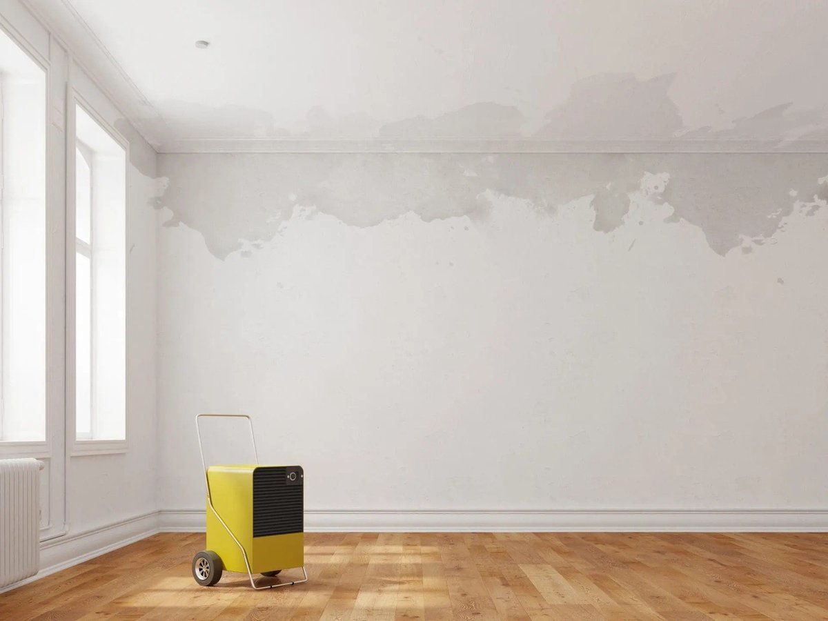 Empty room with damp wall stains, wooden floor, and yellow and black cleaning cart by a window